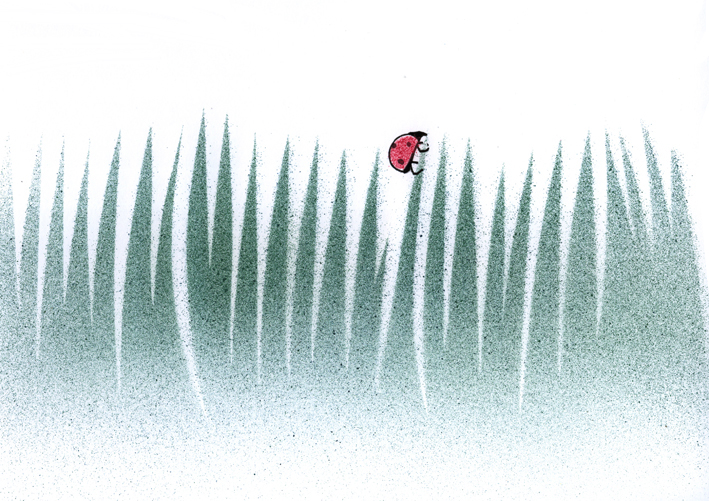 beetle
