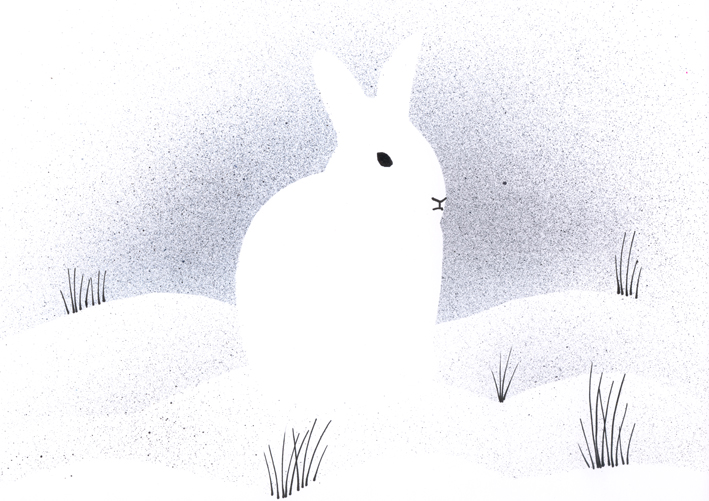 bunny