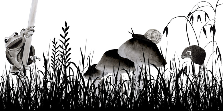 meadow