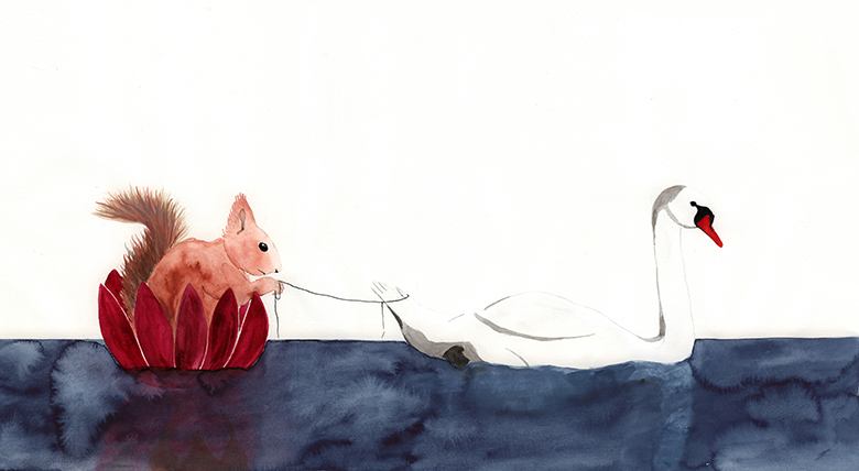 squirrel and swan