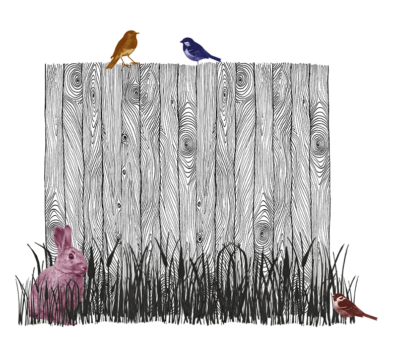 timber fence